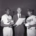 1962 Williamsport Grays